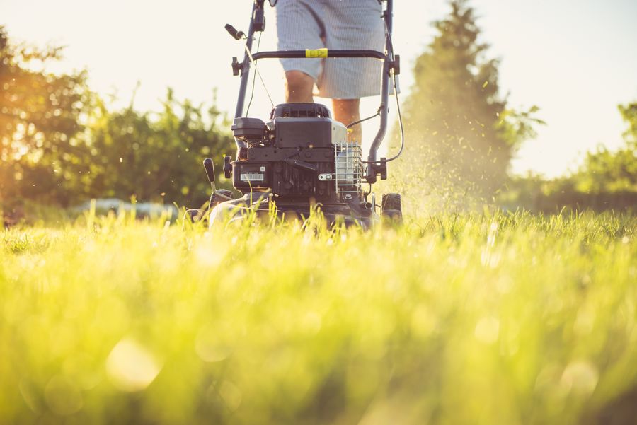 Beispielmotiv: Rasenpflege im Sommer